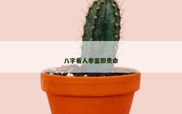 八字看人非富即贵命