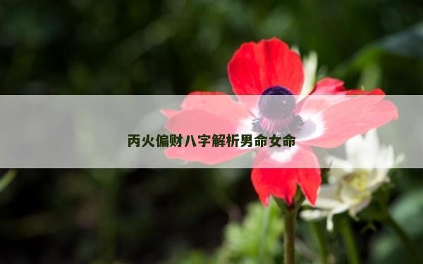 丙火偏财八字解析男命女命