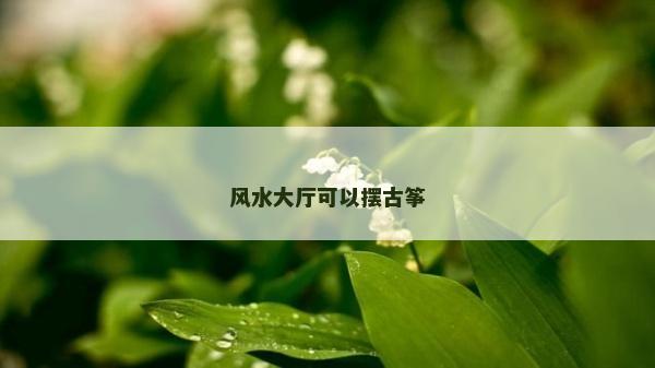 风水大厅可以摆古筝