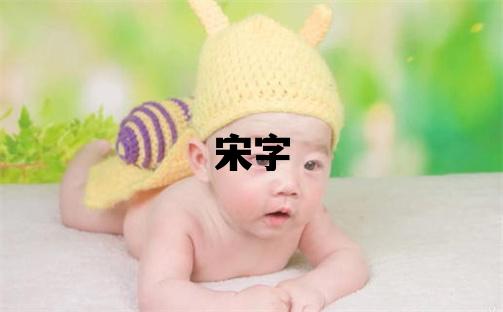 宋字取名的寓意 宋字取名的寓意男孩
