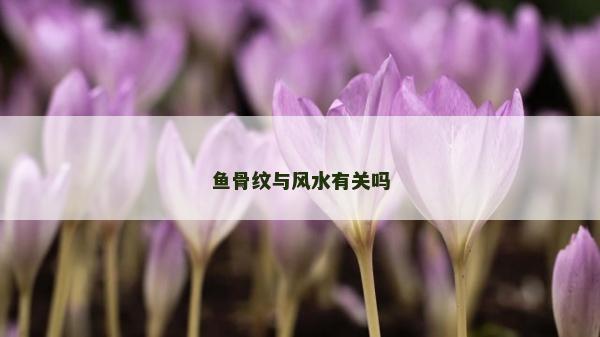 鱼骨纹与风水有关吗