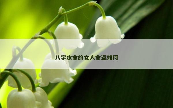 八字水命的女人命运如何
