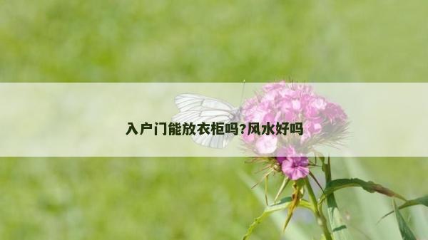入户门能放衣柜吗?风水好吗