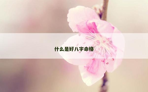 什么是好八字命格