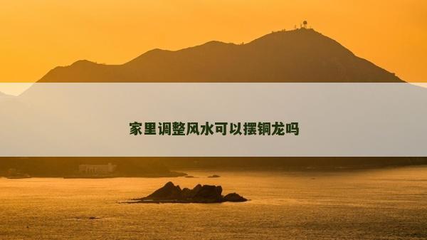 家里调整风水可以摆铜龙吗
