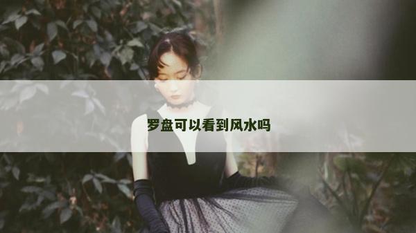 罗盘可以看到风水吗