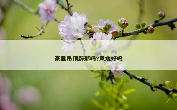 家里吊顶辟邪吗?风水好吗