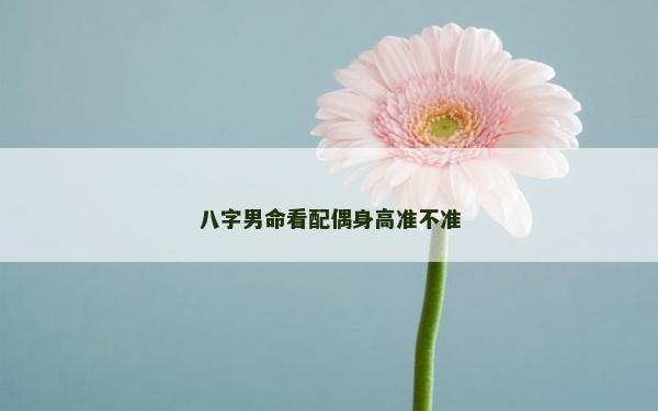 八字男命看配偶身高准不准