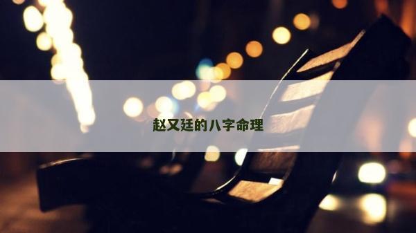 赵又廷的八字命理