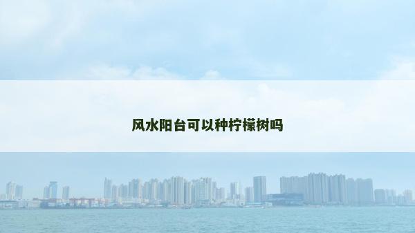 风水阳台可以种柠檬树吗