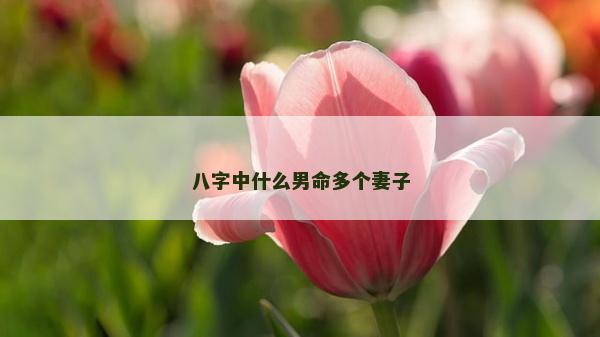 八字中什么男命多个妻子