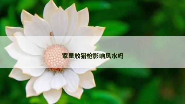 家里放猎枪影响风水吗