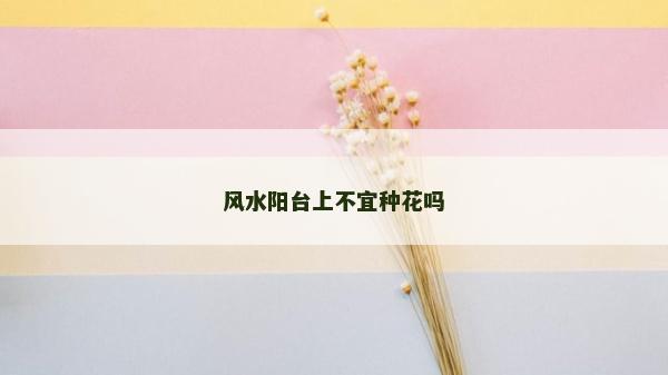 风水阳台上不宜种花吗