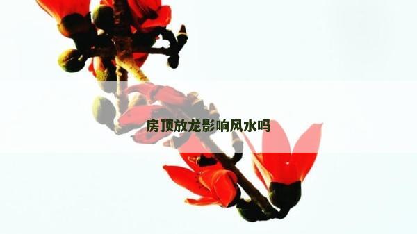 房顶放龙影响风水吗