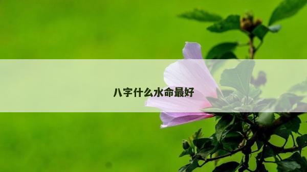 八字什么水命最好