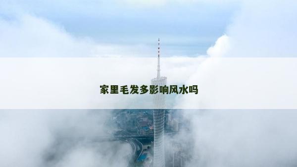 家里毛发多影响风水吗