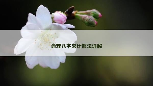 命理八字求计都法详解
