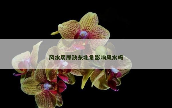 风水房屋缺东北角影响风水吗