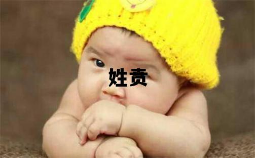 姓贲叫什么名字好 姓贲的女孩朗朗上口的名字