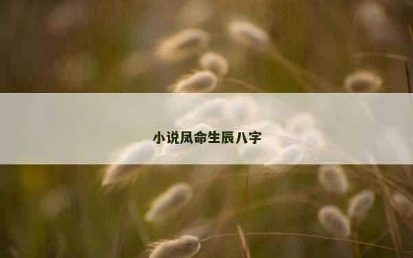 小说凤命生辰八字