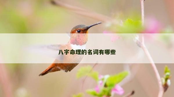 八字命理的名词有哪些