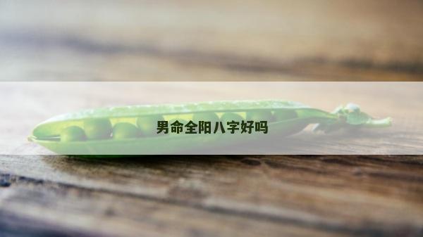 男命全阳八字好吗