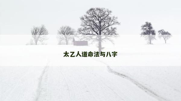 太乙人道命法与八字