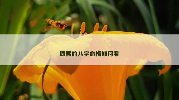 康熙的八字命格如何看