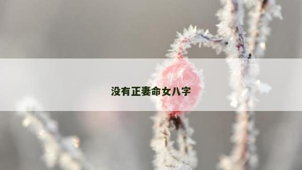 没有正妻命女八字