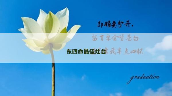 东四命最佳灶台
