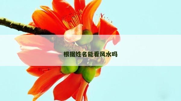 根据姓名能看风水吗