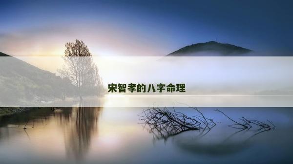 宋智孝的八字命理