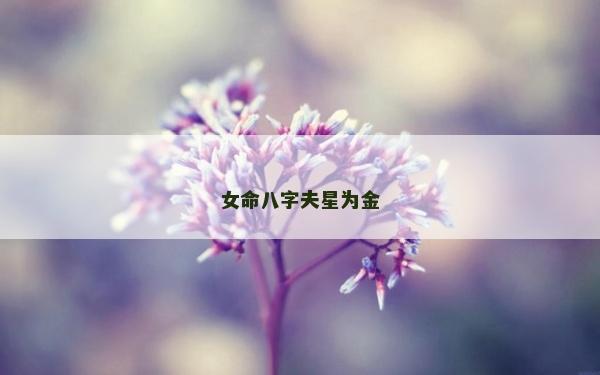 女命八字夫星为金