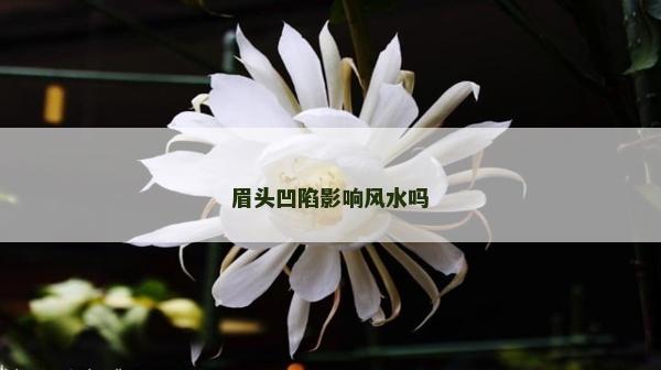 眉头凹陷影响风水吗