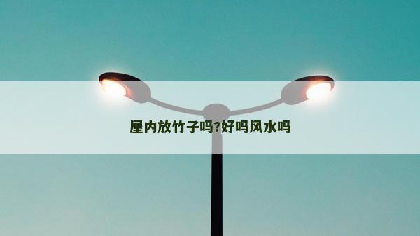 屋内放竹子吗?好吗风水吗