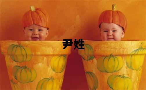 尹姓取名吉利的女宝宝名字