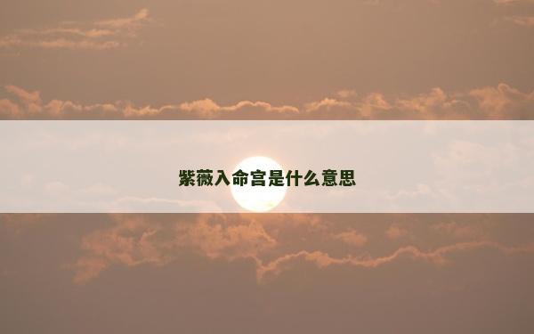 紫薇入命宫是什么意思