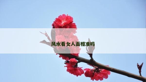 风水看女人面相准吗