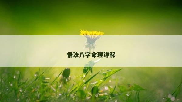 悟法八字命理详解