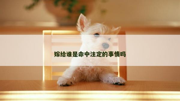 嫁给谁是命中注定的事情吗