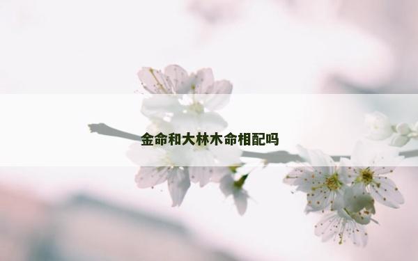金命和大林木命相配吗
