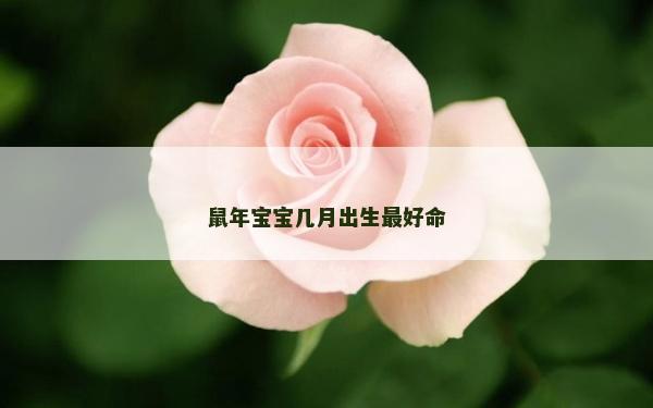 鼠年宝宝几月出生最好命