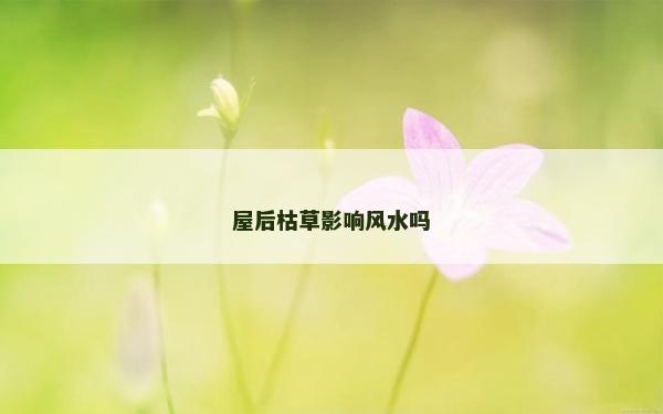 屋后枯草影响风水吗