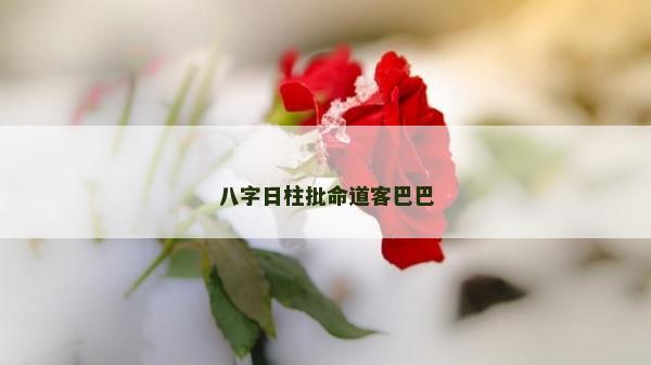 八字日柱批命道客巴巴
