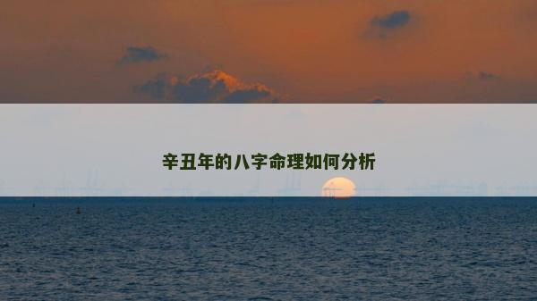 辛丑年的八字命理如何分析