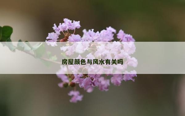 房屋颜色与风水有关吗
