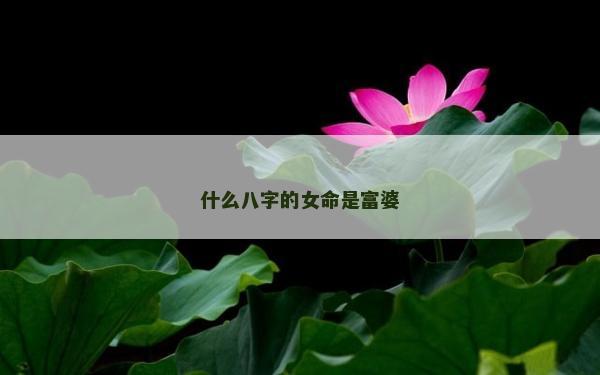 什么八字的女命是富婆