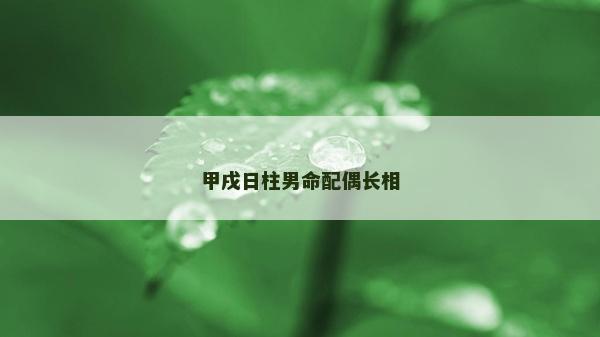 甲戌日柱男命配偶长相