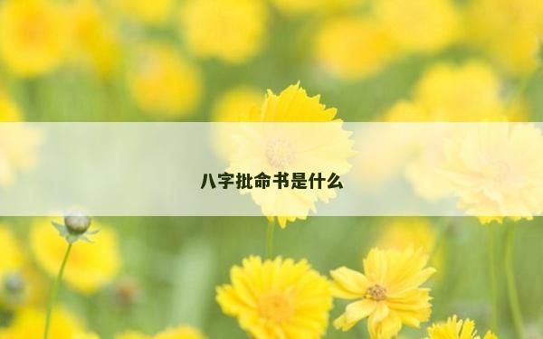 八字批命书是什么