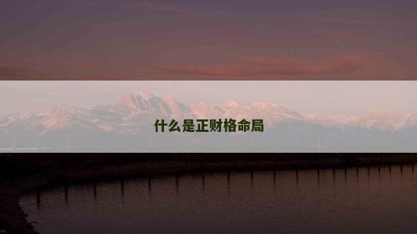 什么是正财格命局